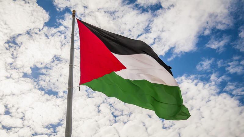 Pro-Palestinian students set up demonstrations at universities across the UK