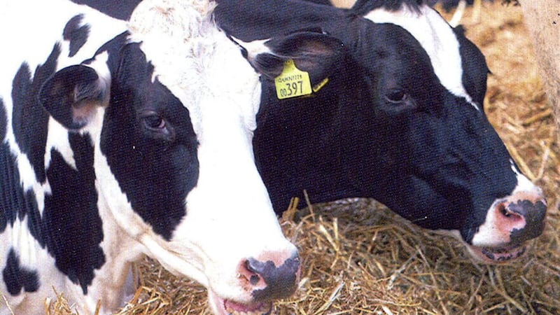Dairy farmers held a crisis meeting regarding prices last night 