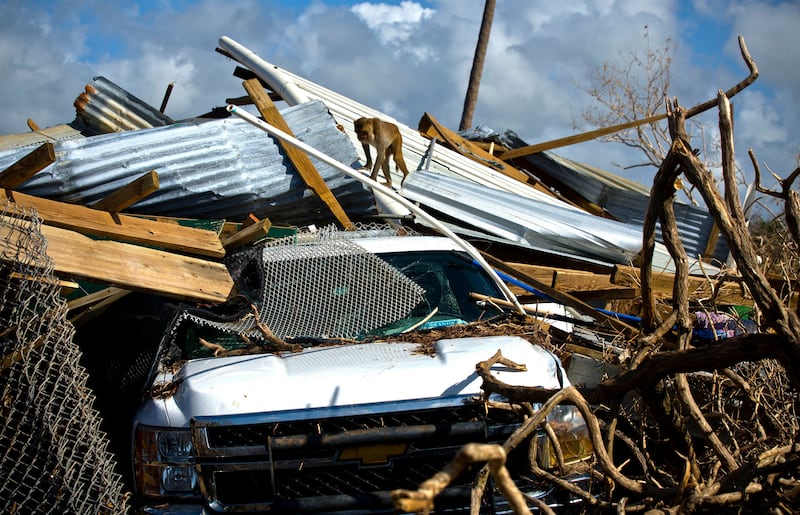A car after Hurricane Maria in Puerto Rico