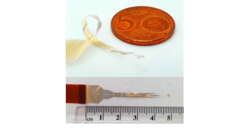 Flexible electronic device for 360-degree recording of spinal cord activity (University of Cambridge)