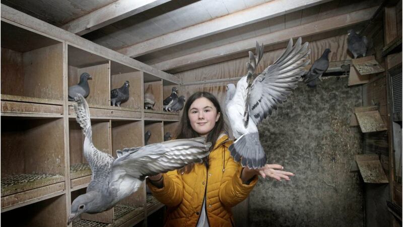 Keelie Wright with her pigeons at home in Magheralin. Picture by Hugh Russell