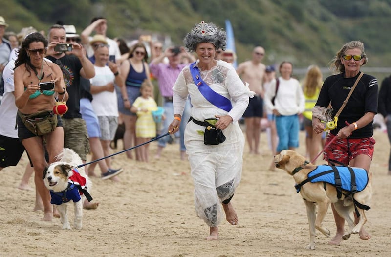 UK Dog Surfing Championships