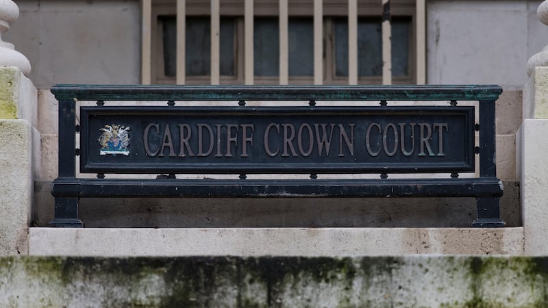 Egle Zilinskaite, 30, and Zilvinas Ledovskis, 49, appeared at Cardiff Crown Court in Wales on Wednesday