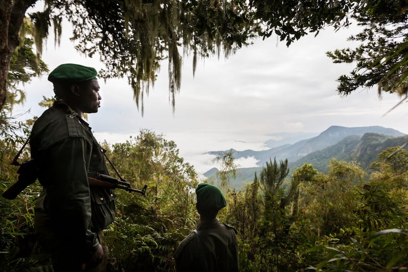 Rangers at the Virunga national park.