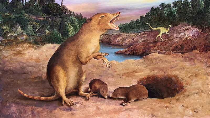 The animal’s fossil records date back 225 million years, predating the previously confirmed first mammal by approximately 20 million years.