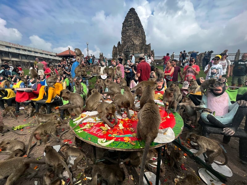 Thailand Monkey Festival