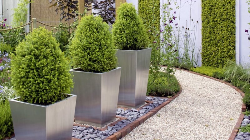Conifers in metal containers look great at the front of the house 