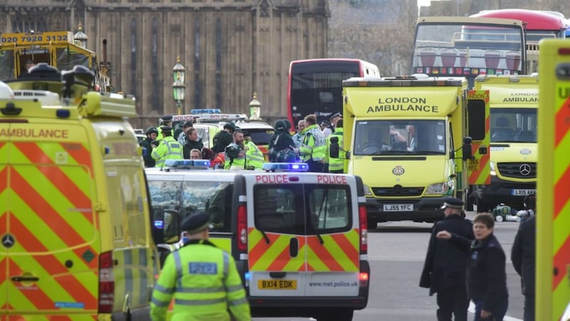 The incident occurred on Westminster Bridge and in the grounds of the Palace of Westminster.