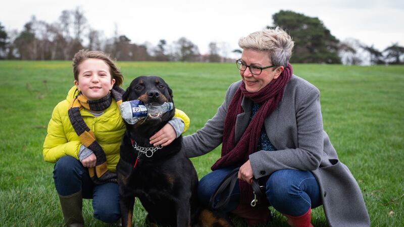 The five-year-old cross-breed has become a local recycling hero.