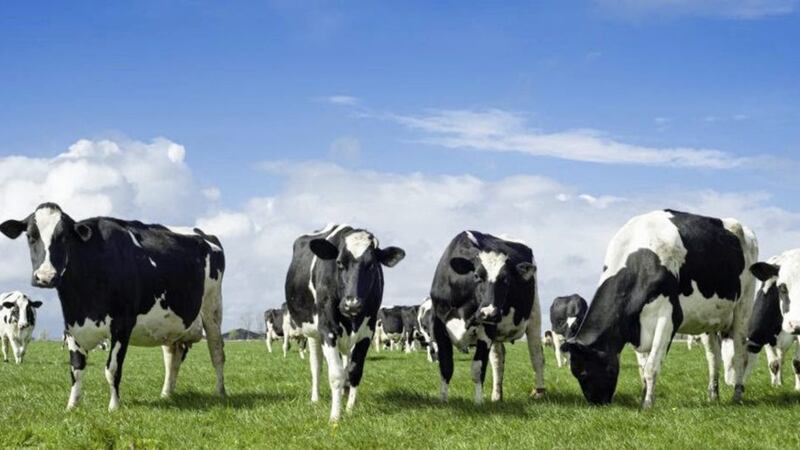Twenty-nine Holstein-Friesian dairy cows were given 18 days of overnight pasture access and 18 days of full-time indoor housing 