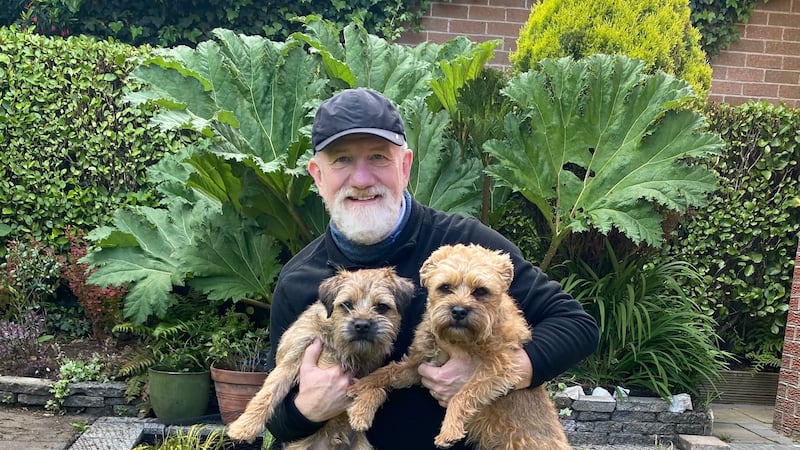 Jake and his border terriers