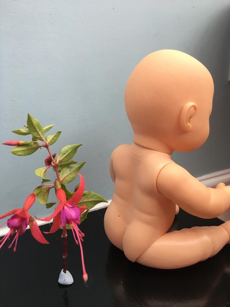Pete Lamb has created Back to the Fuchsia, which is a baby doll with its back to a fuchsia plant (Turnip Prize/PA) 