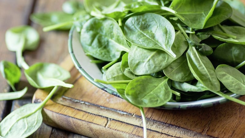 Spinach is packed with nutrients 