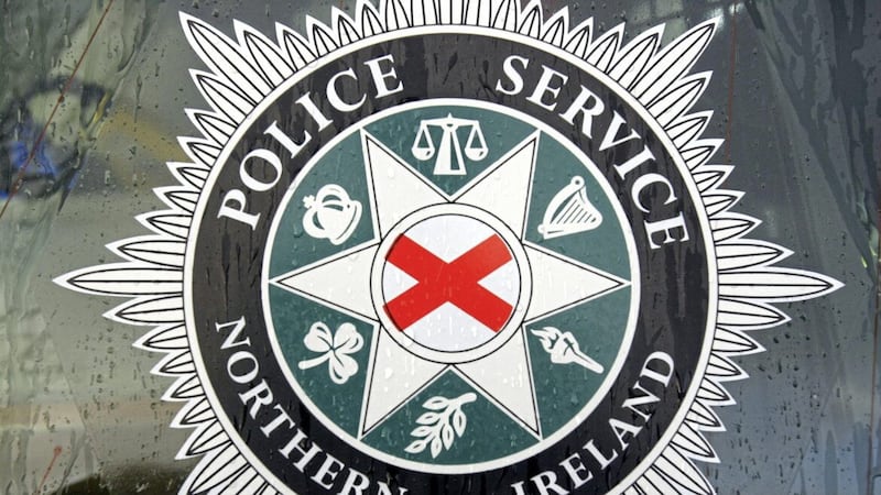 The incident was reported in the Parkview Close area of Newry on Monday evening.