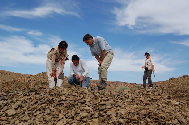 Researchers scour the Fezouata fossil site in Morocco. (Cambridge University/ PA)