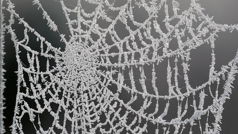 A spider’s web (Andrew Milligan/PA)