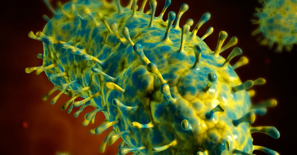 After In Sign Language Person dies in UK after becoming infected with rabies while on holiday ...