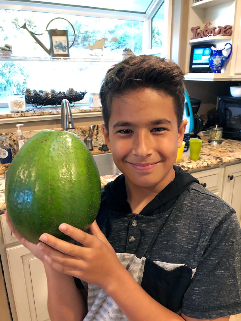 Loihi Pokini with the giant avocado