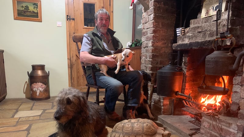 Man sitting with his dogs and a tortoise in front of an open fire