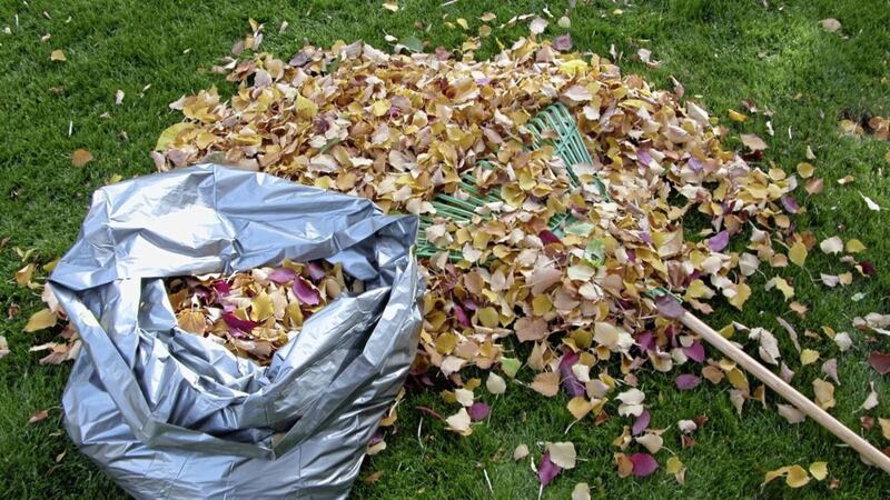 You can buy biodegradable leaf compost sacks but black plastic bin liners with airholes punched into them will do the job just as well 