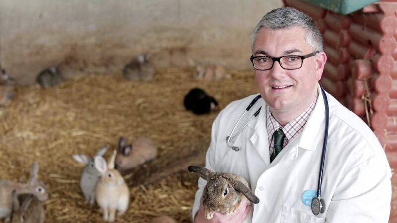 Simon Doherty has been appointed to the position of junior vice president at the British Veterinary Association 