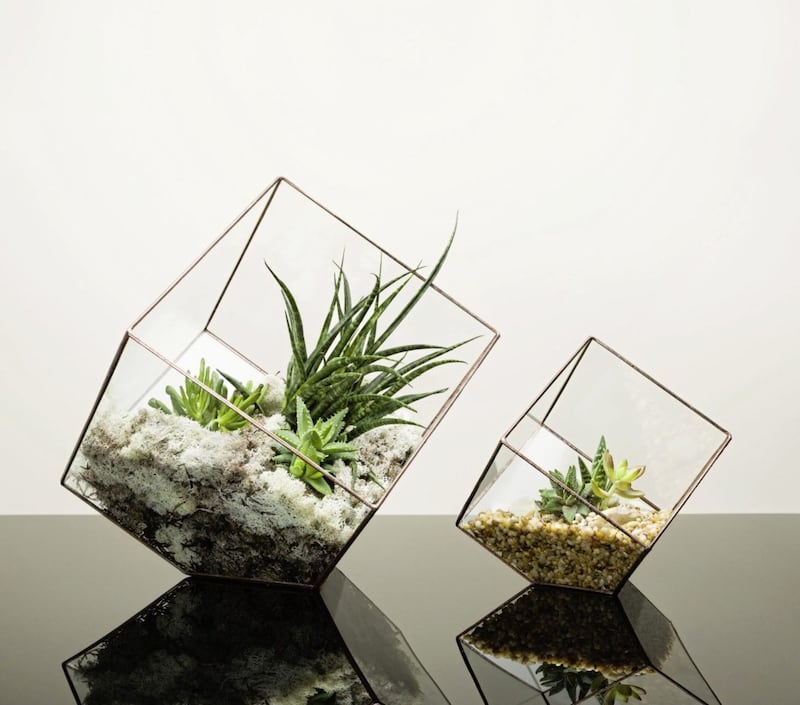 Copper Cube Terrariums, The Urban Botanist