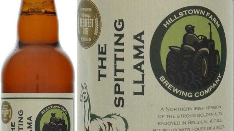 The Spitting Lama beer, from Hillstown Brewery 