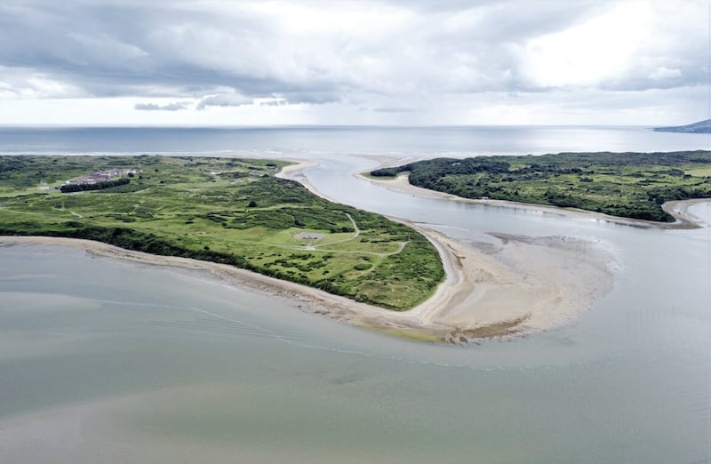 The complex habitat and dune system at Murlough on Dundrum Bay, Co Down 