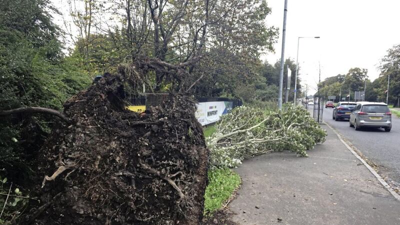 Storm damage in Belfast, after Hurricane Ophelia battered the UK and Ireland with gusts of up to 80mph