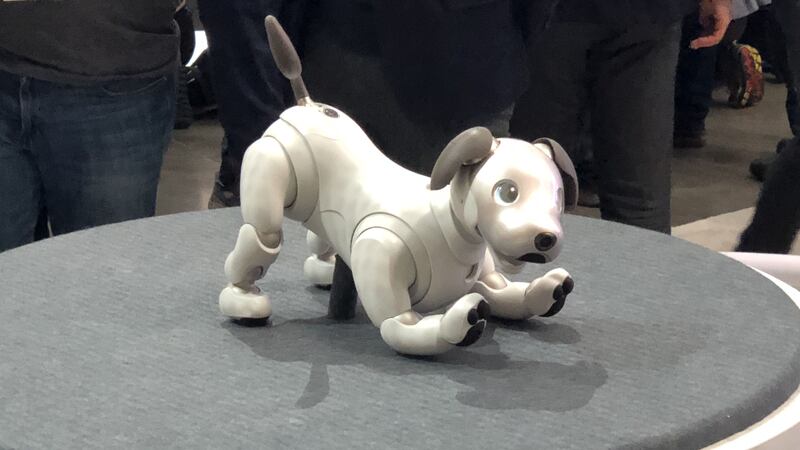 The canine was one of several new robots seen at the tech show.