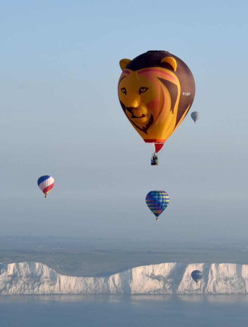a lion shaped balloon