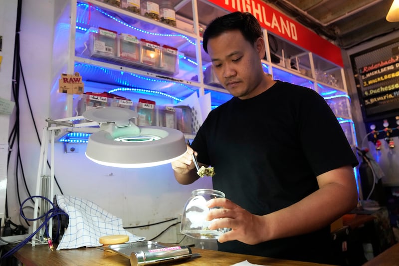 Businessman Rattapon Sanrak prepares flower buds of marijuana for customers at his shop in Bangkok (Sakchai Lalit/AP)