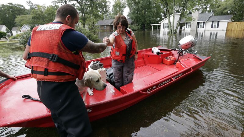 Dogs and cats were part of the rescue.