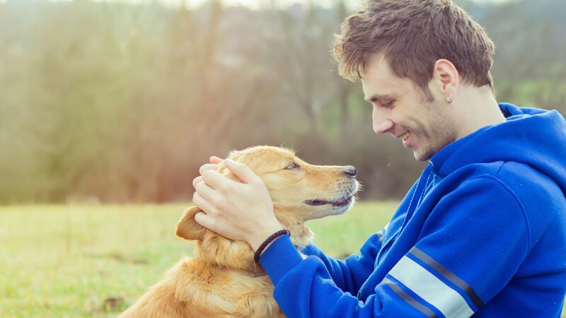 A new study suggests having a pooch companion could be good for your health.
