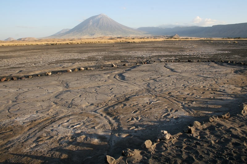 The Engare Sero footprint site, which preserves at least 408 human footprints