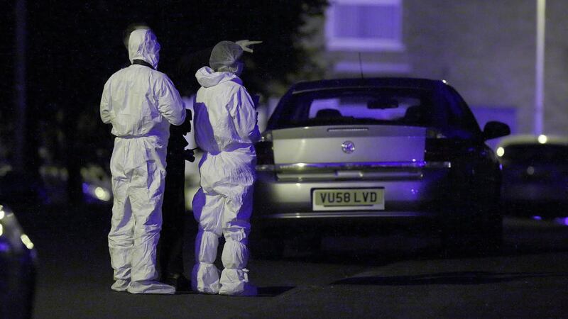 The scene at Low Road, Lisburn, where a man was found dead in a car boot. Picture by Cliff Donaldson&nbsp;