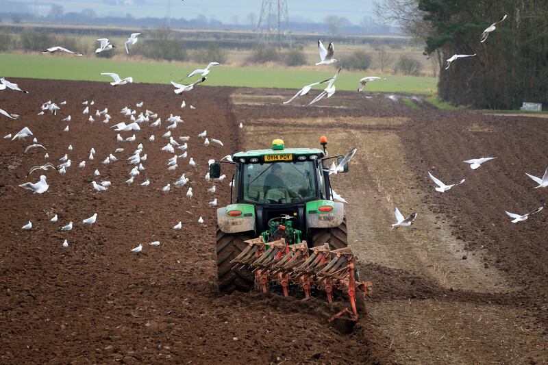 What farmers need to know about insurance in 2025