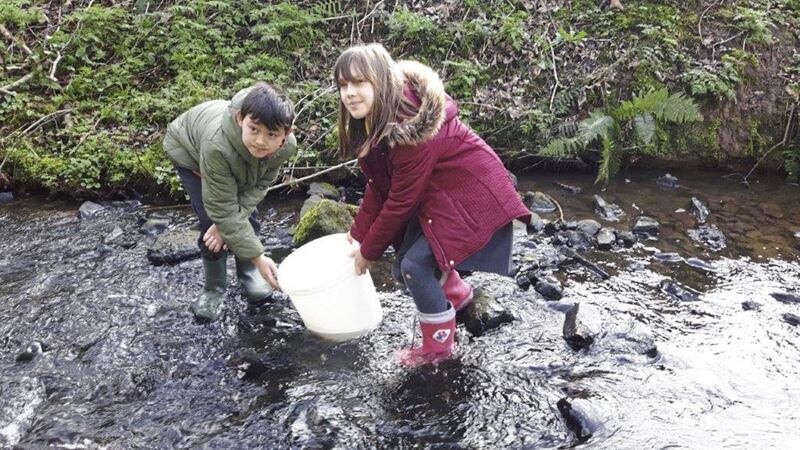 Pupils release hatched salmon into the River Lagan 