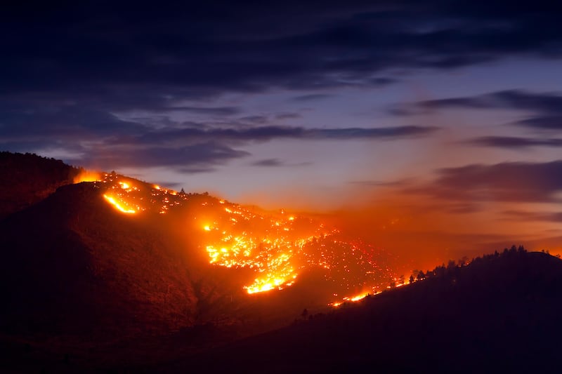 Carbon dioxide levels in atmosphere climb at record rate to new highs in 2024