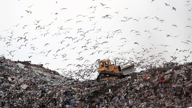 Birds look for food at the Seaton Meadows Landfill site in Hartlepool as workers clear the rubbish