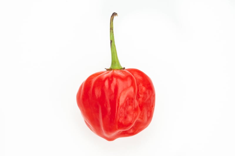 Scotch bonnet chilli pepper (Wavebreakmedia/Getty Images)