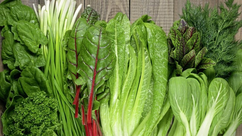 Stock up on green vegetables to get your immune system fighting fit for the challenges of winter 