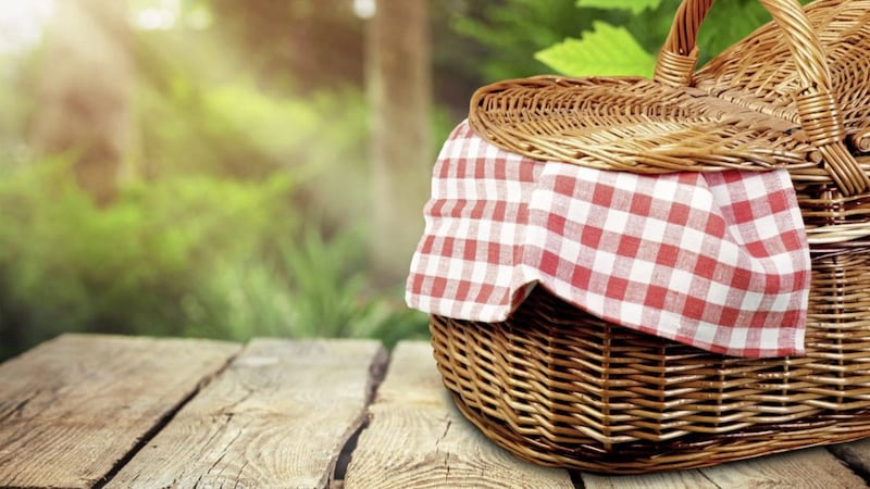 Sleb Safari is going to organise a socially distanced picnic to rival all others 