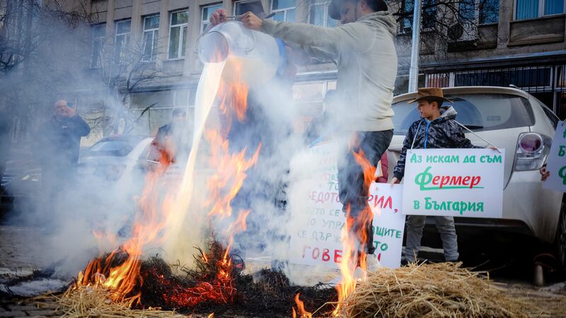 Bulgarian farmers pour milk on burning hay during protests in Sofia (Valentina Petrova/AP)