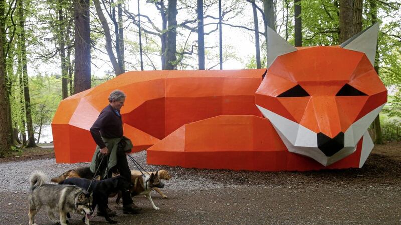 A large fox is featured in the new Hillsborough Forest digital sculpture trial. Picture by Mal McCann 