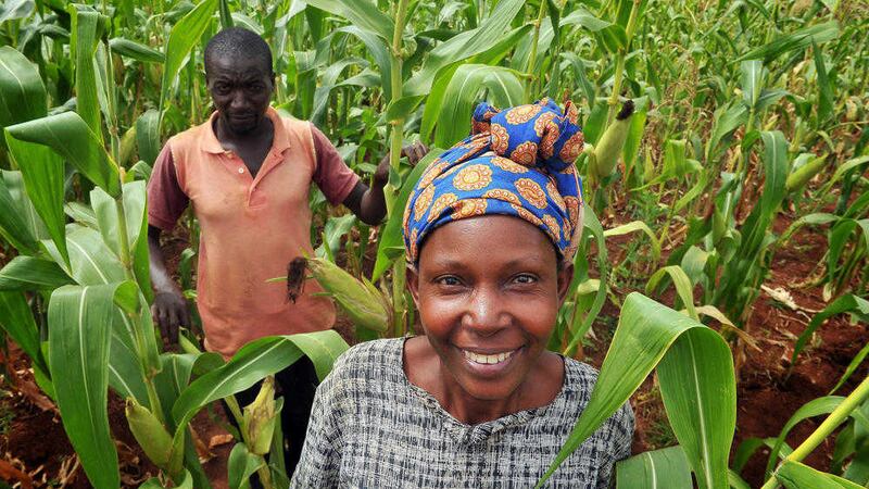 A proud husband and wife standing amongst their crops, thanks to irrigation systems provided by donations to Tr&oacute;caire. Picture by Justin Kernoghan 