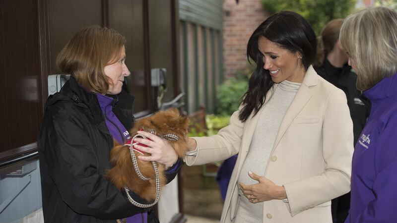 Pensioner makes comment to Duchess of Sussex during tour of animal welfare charity in London.