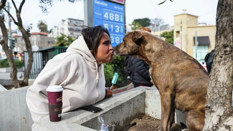 Victoria Solomon, 34, who lives in a hotel but has been homeless since she was 16, kisses her dog, Chunx, in San Francisco’s Castro neighborhood. Gabrielle Lurie/The Chronicle