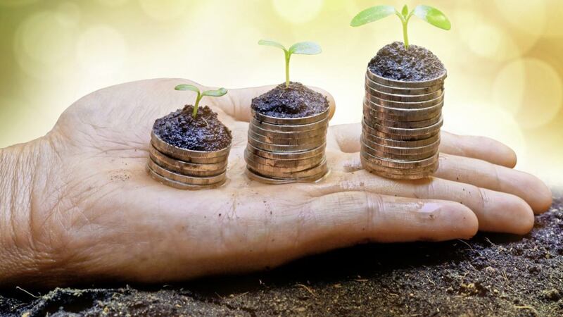 Your pension is like a tree - organic, growing and developing, but must be regularly tended, checked and reviewed 