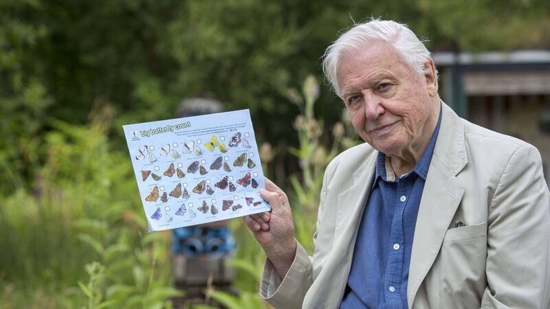 The presenter and naturalist was on the show to urge people to take part in the world’s biggest butterfly count.